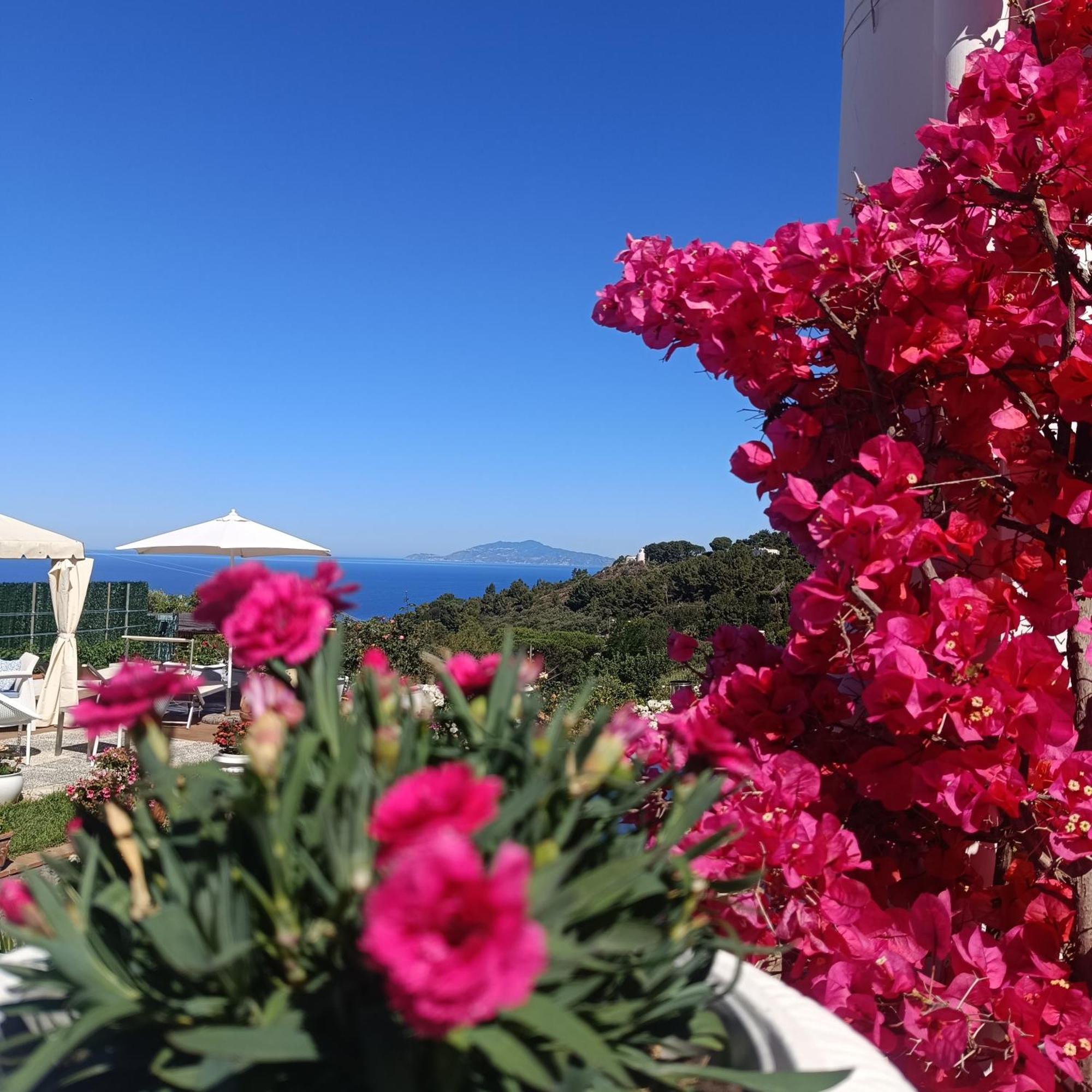 La Campagnola Apartment Anacapri  Exterior photo